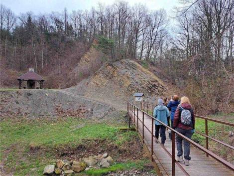 Photo no. 1 (15)
                                                         Kamieniołom warstw grodziskich w Żegocinie
                            